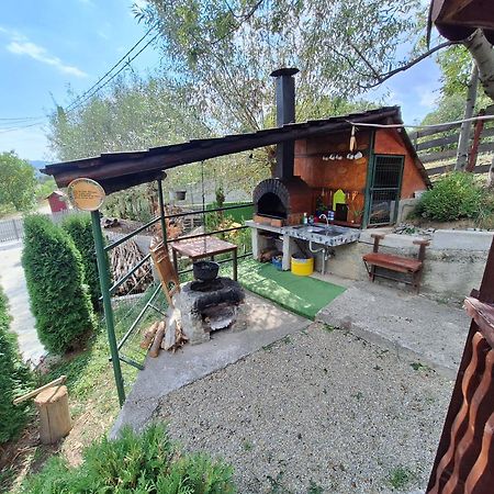 Casa Diana Villa Nucsoara  Exterior photo